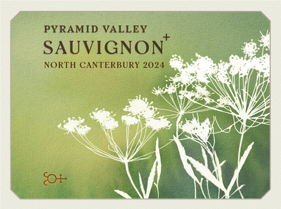 2024 North Canterbury Sauvignon +
