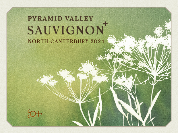 2024 North Canterbury Sauvignon +