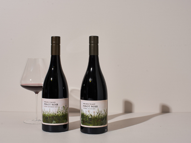 International Pinot Day Duo
