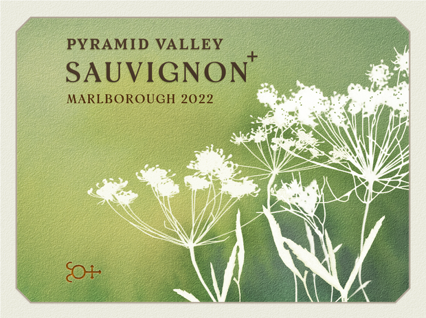 2022 Marlborough Sauvignon +